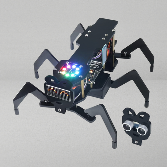 Robot Ant Kit With Complete Tutorial & Codes (Battery Not Included) FNK0042